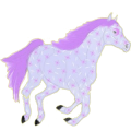 Riding Horse Appaloosa Few Spots