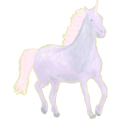 Unicorn Thoroughbred Bay