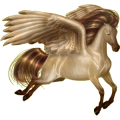 Pegasus Hackney Cherry bay